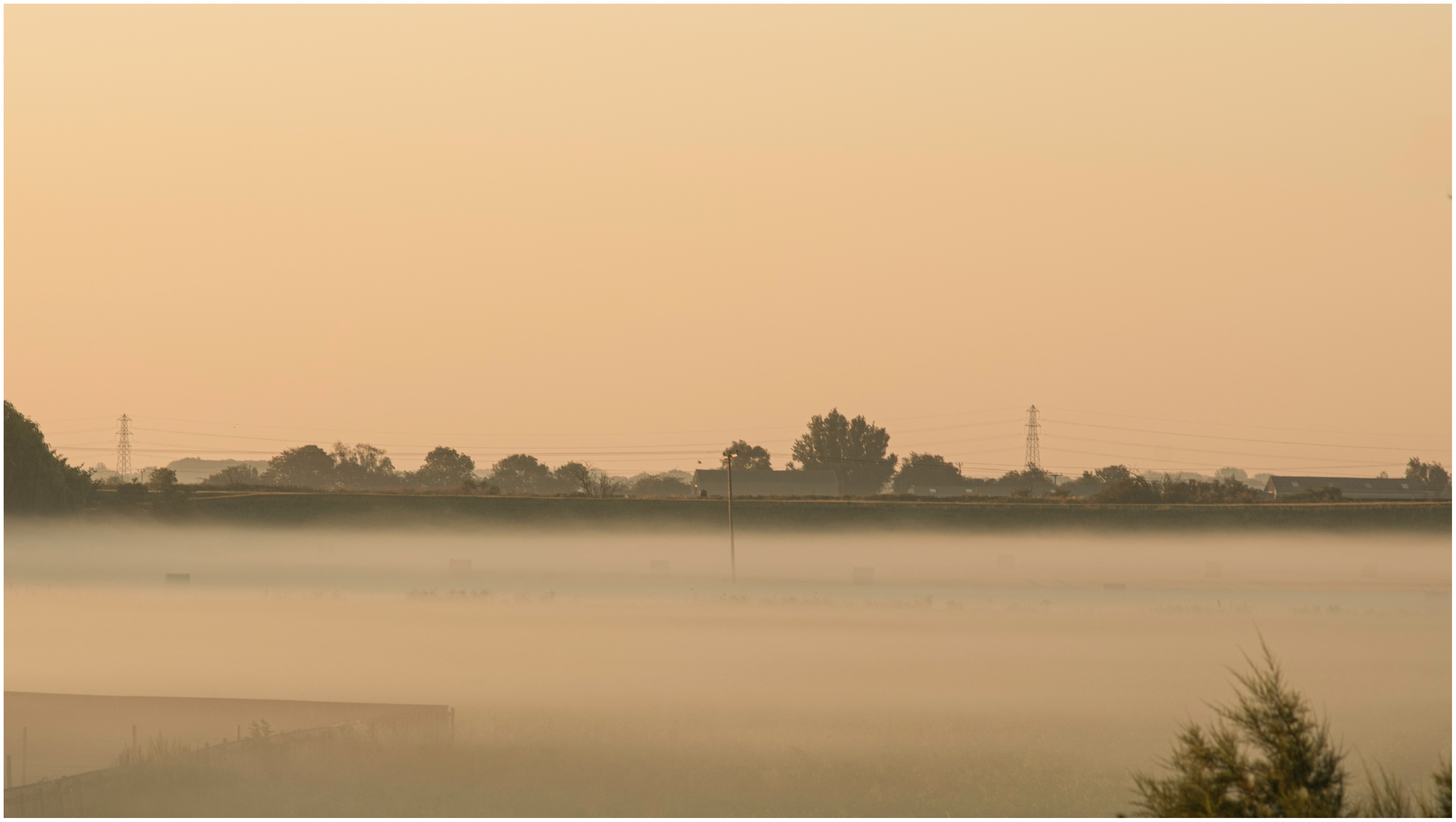A wide early-morning view across the flat Fenland landscape towards the River Nene, beneath a softly glowing peach and pale orange sky. Low sunrise mist hangs across the fields, obscuring much of the middle distance and reducing the landscape to a series of delicate horizontal layers. In the foreground, a dark field stretches across the lower edge of the photograph, with trees and vegetation rising at the right. A slender utility pole stands near the centre. Beyond it, the long dark line of the river embankment crosses the image from side to side; the Nene itself is hidden behind the bank and sits above the level of the surrounding fields. Farm buildings and trees emerge faintly through the mist beyond, while electricity pylons appear as delicate silhouettes against the luminous haze. The subdued detail, extensive sky and warm, restricted palette emphasise the stillness and depth of the misty Fenland morning.