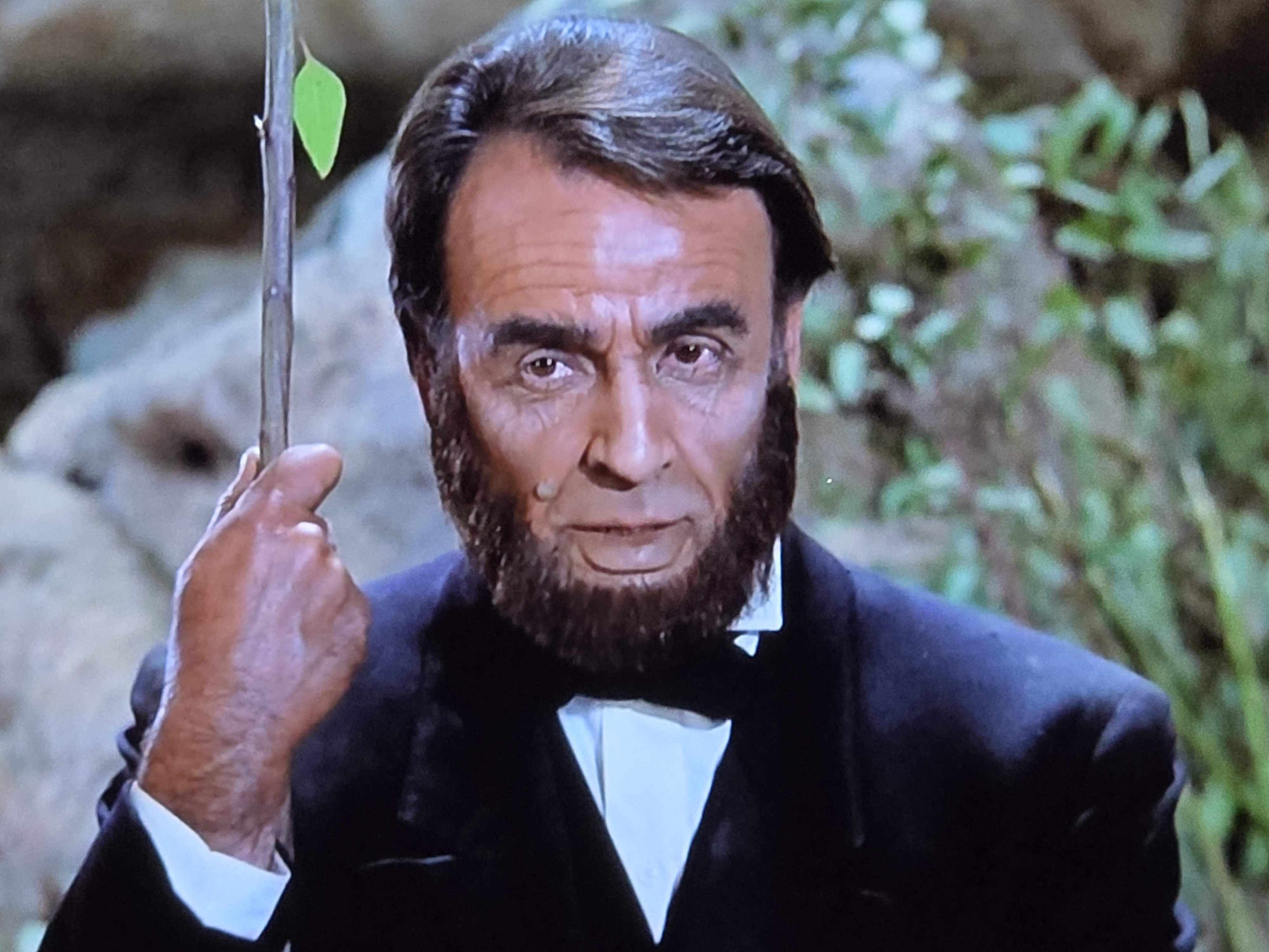 Lincoln super tan 