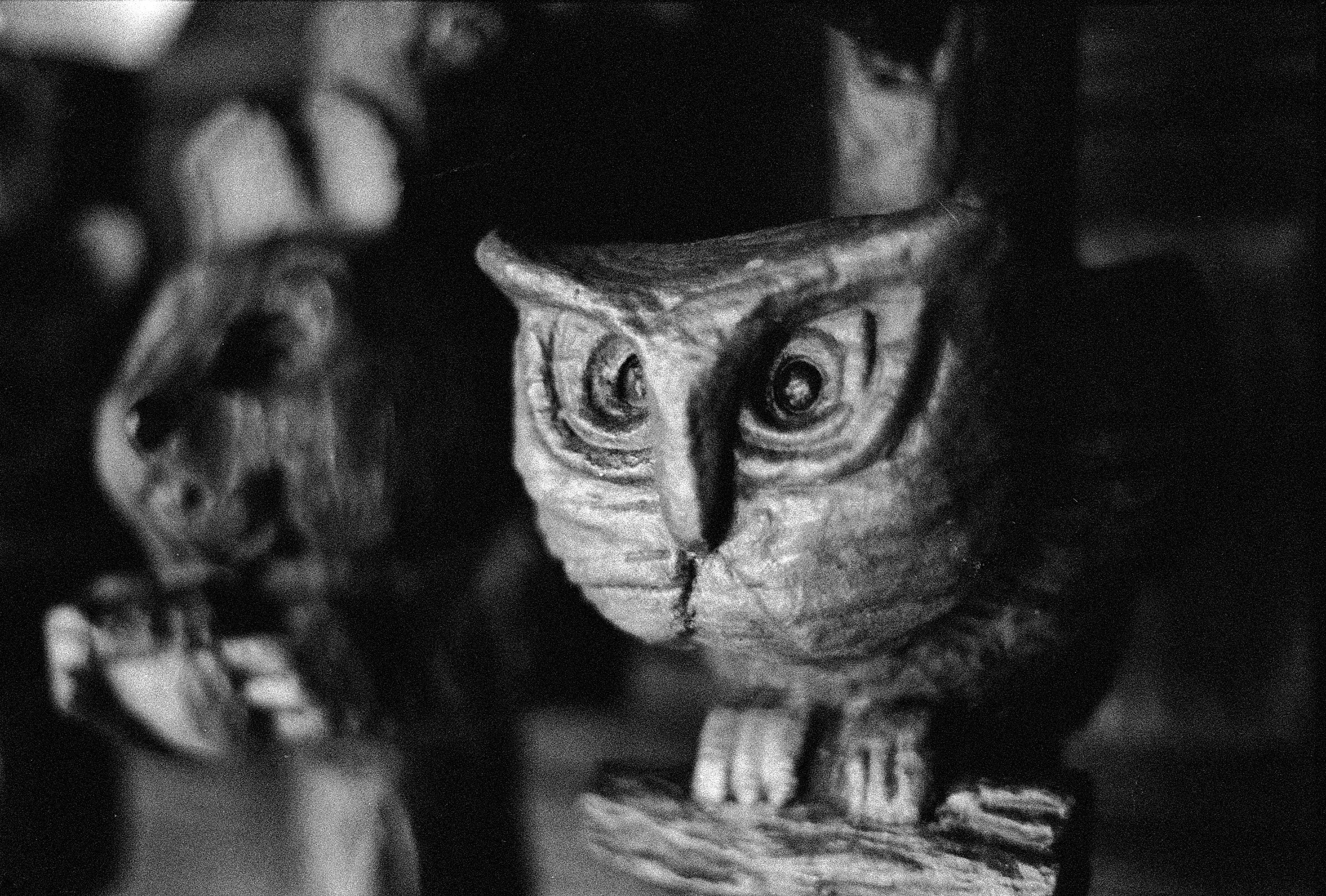 A black and white film photo of a wood carving of an owl. Behind it out of focus is a wood carving of a squirrel