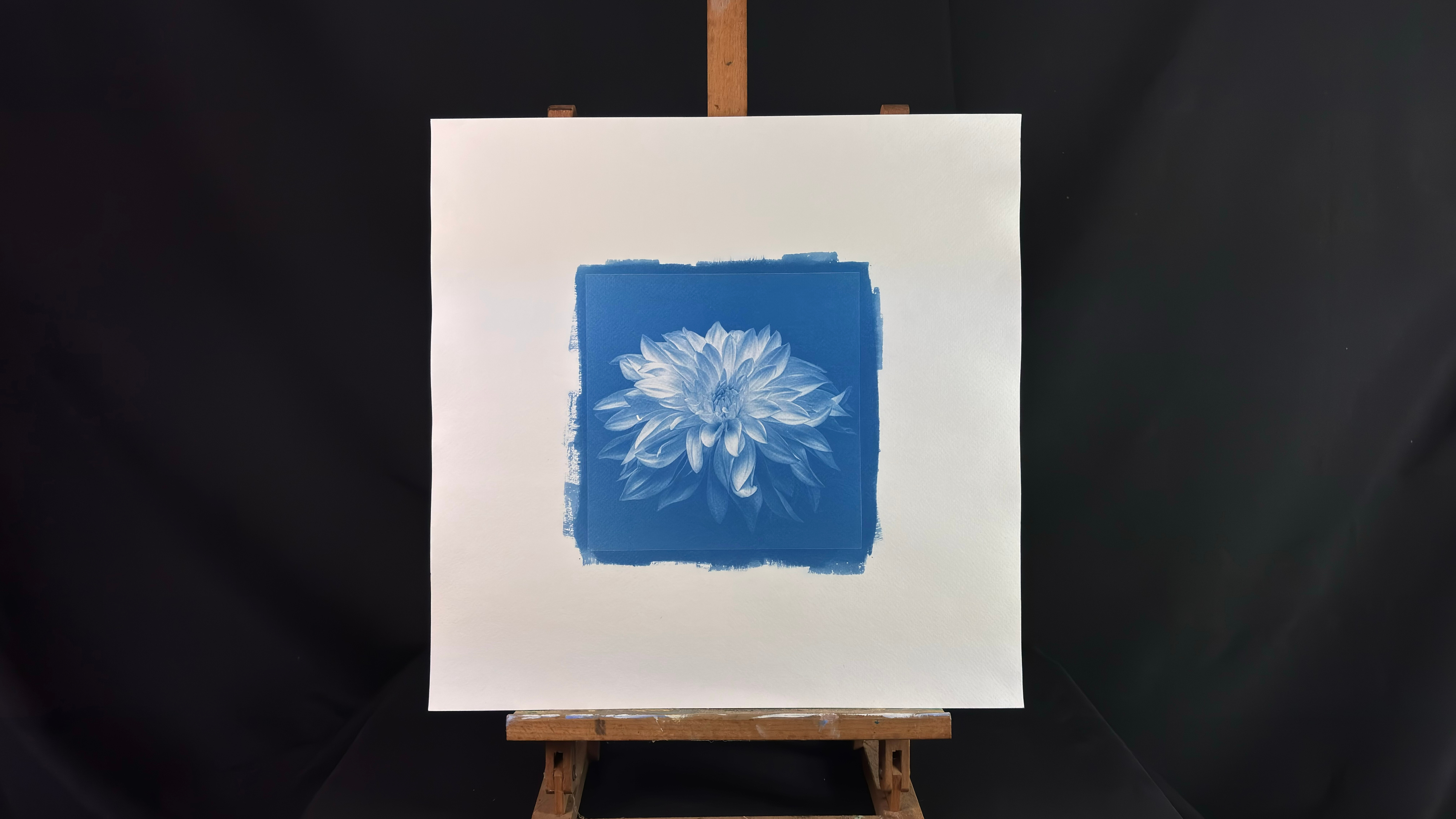 A square cyanotype print of a single Dahlia, made on Gerstaecker No. 3 watercolour paper and presented on a 16 × 16 inch sheet. The photographic image occupies an approximately 8 × 8 inch square in the centre, surrounded by a broad four-inch border of untouched paper. The cyanotype is a rich Prussian blue, with the sensitised area extending slightly beyond the image in visible, irregular brush marks, particularly along the top, left and lower edges. The Dahlia fills most of the blue square. Its many overlapping petals radiate outward from a tightly detailed centre, with the upper and central petals appearing pale and luminous against the darker background, while the lower and outer petals gradually fall into deeper blue tones. The large expanse of clean white paper around the relatively small image gives the print a restrained, spacious appearance. The finished sheet is photographed upright on a small wooden easel against a plain black backdrop.
